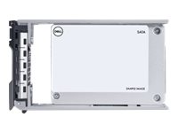 Dell Express Flash - Kunden-Kit - SSD - 1.6 TB - U.2 PCIe 4.0 (NVMe)