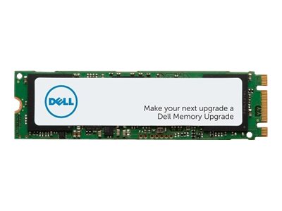 Dell  SSD - 1 TB - intern - M.2 2280 - SATA