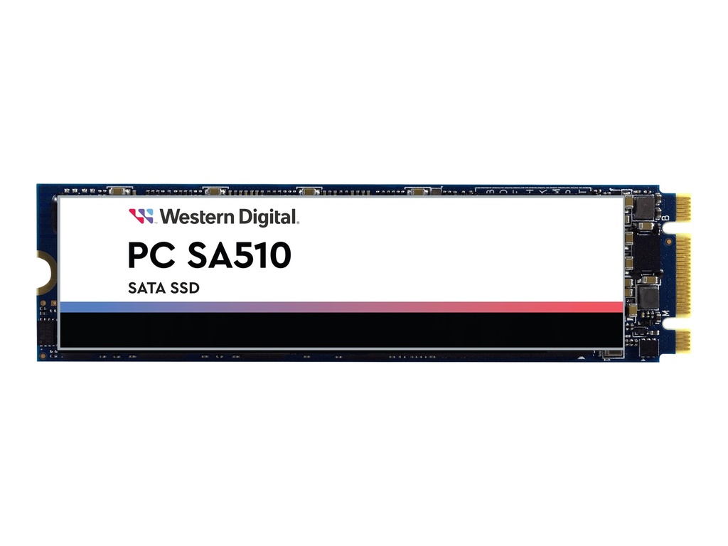 WD PC SA510 SDBSNXD-1000 - SSD - 1 TB - intern