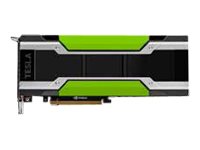 Dell NVIDIA Tesla P40 - Kundeninstallation - GPU-Rechenprozessor