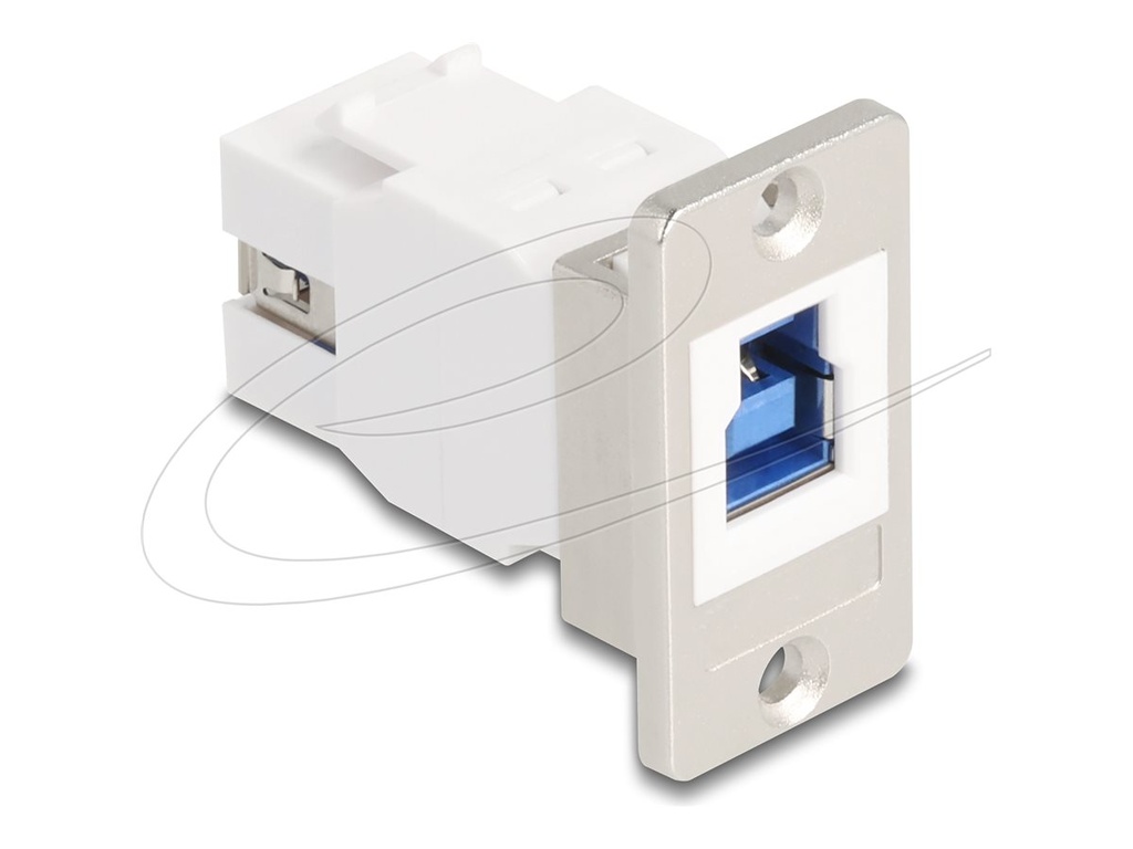 Delock USB-Adapter - USB Type B (W) zu USB Typ A (W)