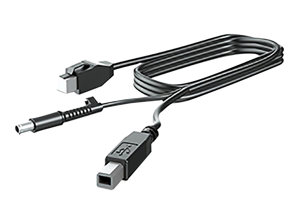 HP  DisplayPort-Kabel - DisplayPort (M) zu DisplayPort (M)