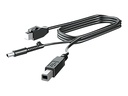HP  DisplayPort-Kabel - DisplayPort (M) zu DisplayPort (M)