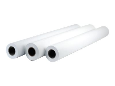 HP Professional Matte Canvas - Matt - 22 mil - Rolle (91,4 cm x 15,2 m)