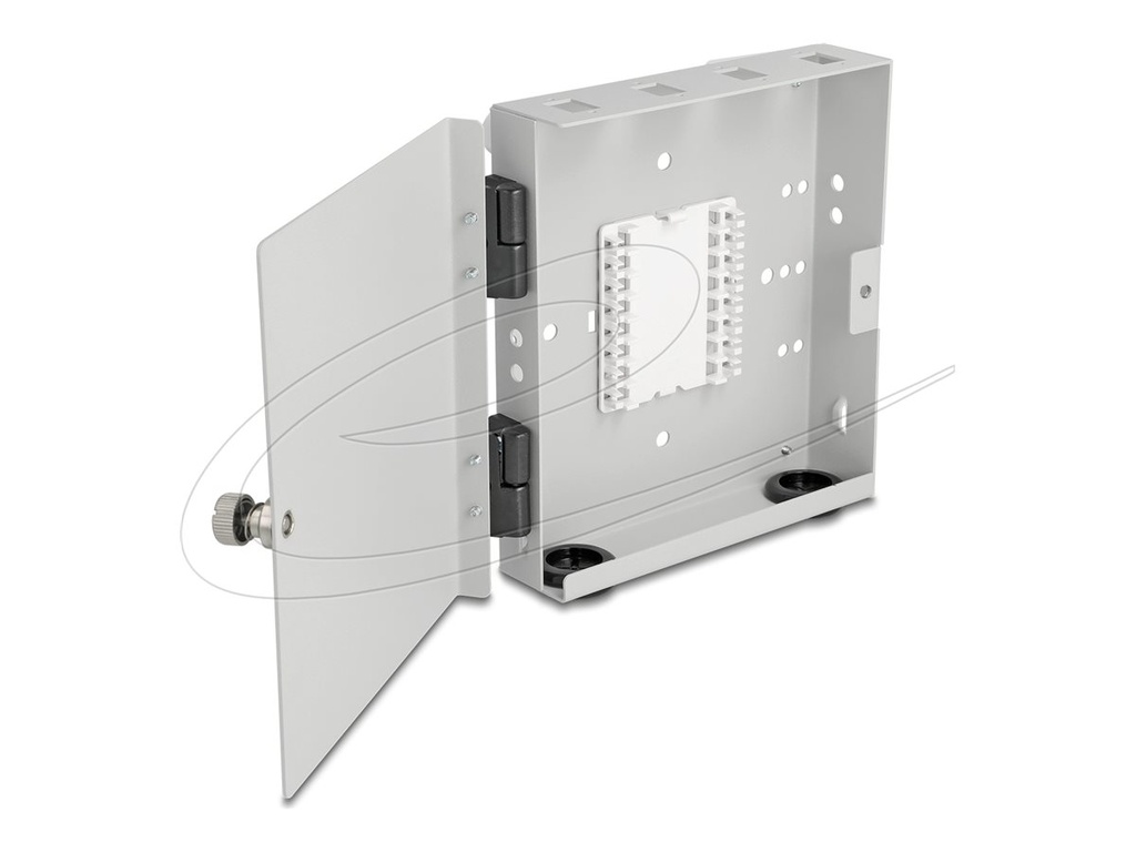 Delock Glasfaser-Anschlussdose - geeignet für Wandmontage