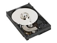 [400-26296] Dell  Festplatte - 3 TB - Hot-Swap - 3.5" (8.9 cm)