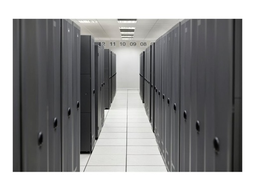 [S4U78AAE] HPE SimpliVity 325 Gen11 - Right-To-Use License (RTU)