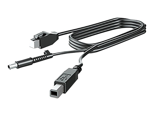 [V4P97AA] HP  DisplayPort-Kabel - DisplayPort (M) zu DisplayPort (M)